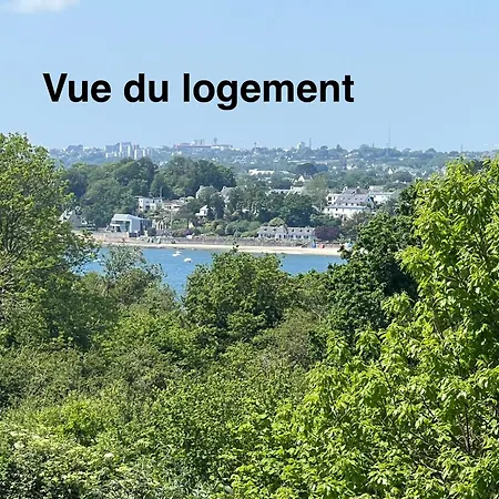 Vue