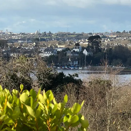 Vue